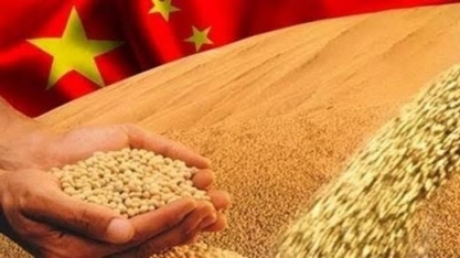 Importação de soja da China cai 13% em janeiro diante de tarifas dos EUA 