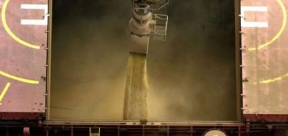 Comércio de soja se aquece no Brasil com melhora na paridade de exportação