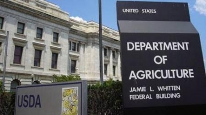 Soja sobe após USDA confirmar grande compra pela China