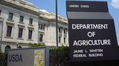 EUA Agro: Vagarosidade na divulgação das estatísticas  frustra setor 