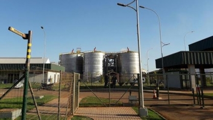 Produção de etanol em MT deve triplicar nos próximos 5 anos