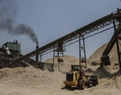 Energia: Bioeletricidade é a 3ª fonte mais importante no Brasil