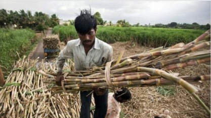Usinas da Índia fecham contratos para exportar 2,2 mi t de açúcar 