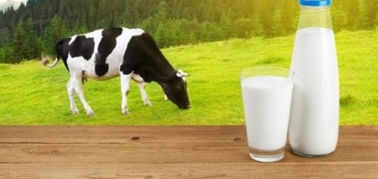 Leite/Cepea: 1º trimestre fecha com alta de 18,9%