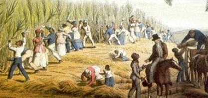 A guerra do açúcar – Por Eduardo Leão de Sousa