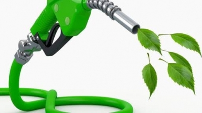 Comparativo: A produção de biocombustíveis no Brasil e nos EUA