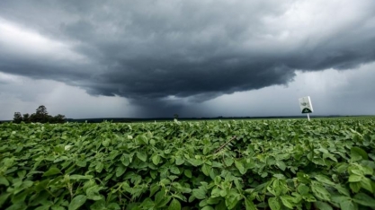 Chuva pode retardar colheita de soja e traz riscos para qualidade