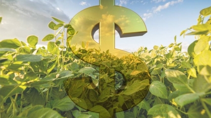 Valor da Produção Agropecuária é estimado em R$ 572,9 bilhões