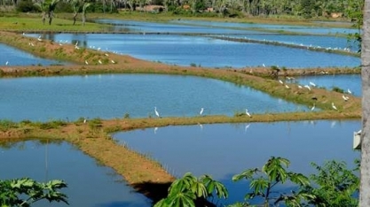 Aquicultura, uma nova fronteira de proteínas