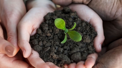 Governo paralisa R$ 1 bi em recuperação ambiental