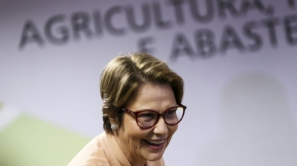 Ano será de 