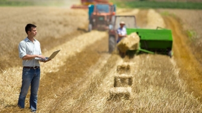 População ocupada no agronegócio se mantém estável em 2018 