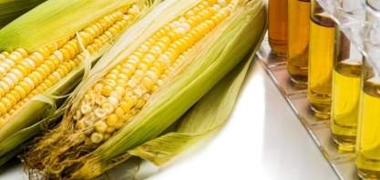 MT: Nova Mutum terá usina sustentável de etanol de milho