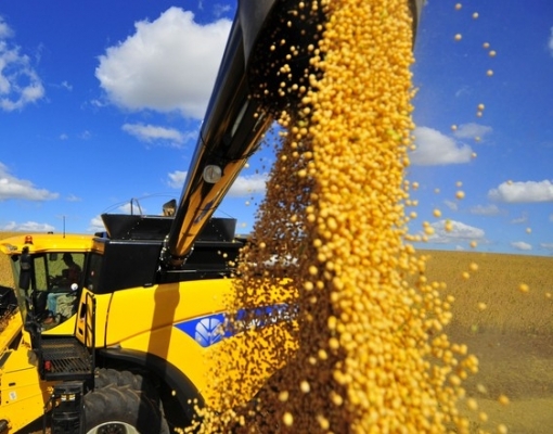 USDA reduz previsão de safra de soja do Brasil em 500 mil t 