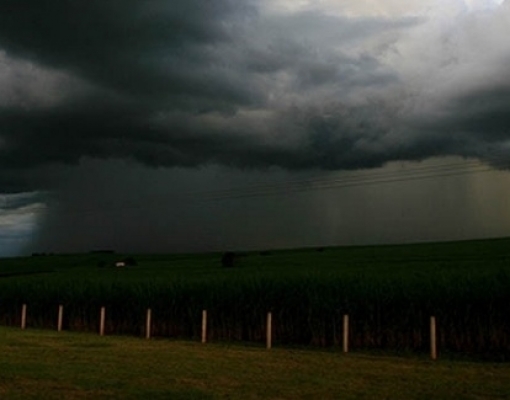 Meteorologia sugere mais etanol e preço maior do açúcar