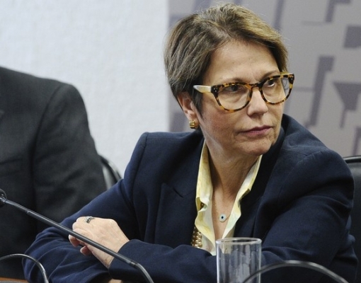 Agronegócio precisa urgentemente de investimento da iniciativa privada