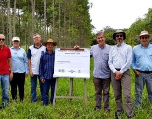 Embrapa e Universidade de Nottingham iniciam parceria em pesquisa