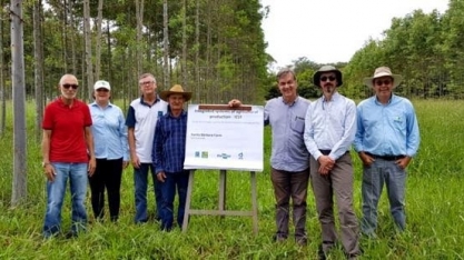 Embrapa e Universidade de Nottingham iniciam parceria em pesquisa