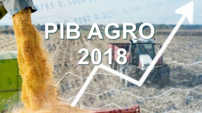 PIB do agronegócio fecha 2018 com estabilidade