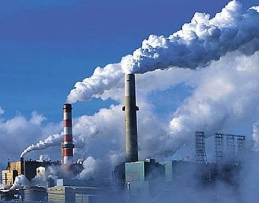 Os alimentos que podem desaparecer por causa do aquecimento global