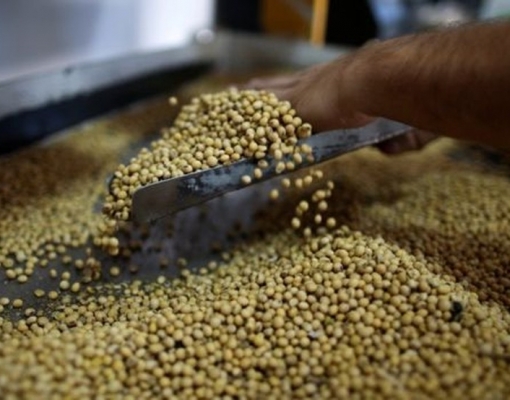 Exportação de soja do Brasil perde ritmo, mas pode superar março de 2018