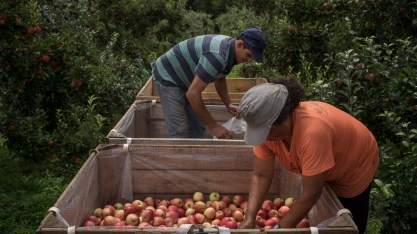 Mulheres do agronegócio têm reajuste real de 57% de 2004 a 2015 
