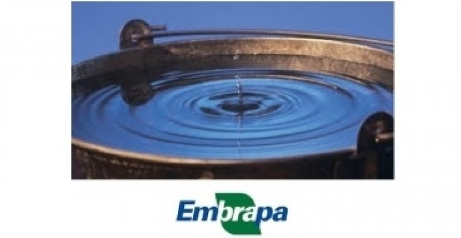 Embrapa, um balde cheio de soluções – Por Antonio Heberlê