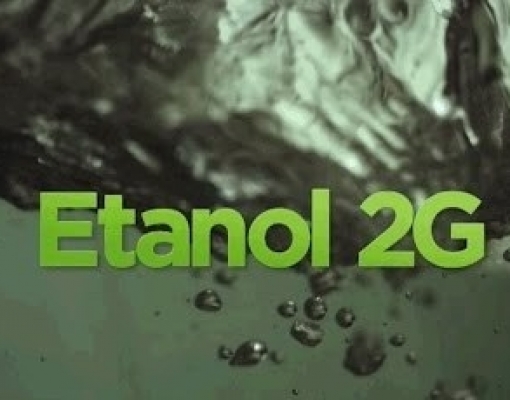 Enzima modificada pode aumentar a produção de etanol de segunda geração 