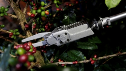 OIC eleva previsão para superávit de café na safra global 2018/19