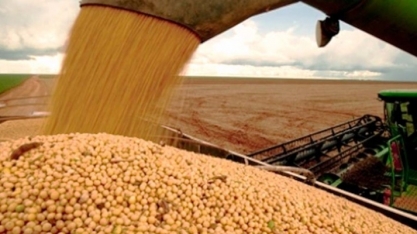 Primeiros cem dias de Bolsonaro desafiam agro a contornar viés ideológico
