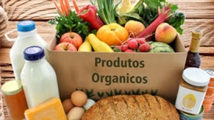 Mercado brasileiro de orgânicos fatura R$ 4 bilhões