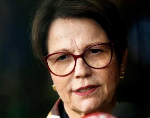 Ministra diz que decreto vai recompor subsídio para agronegócio em energia 