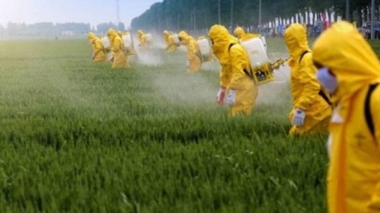 MAPA liberou 1 novo registro de agroquímicos em média por dia no 1º tri