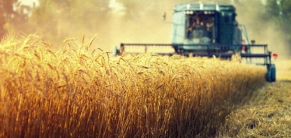 PIB do agronegócio inicia 2019 com leve queda 