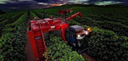 Safras prevê queda de 8,1% na colheita de café do Brasil em 2019 