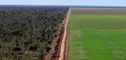 Disputa EUA-China pode respingar no cerrado brasileiro