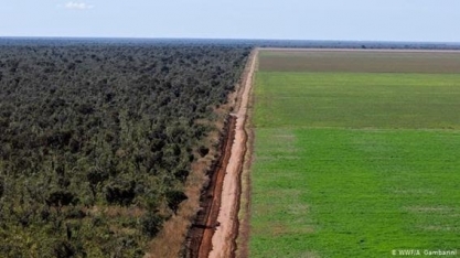 Disputa EUA-China pode respingar no cerrado brasileiro