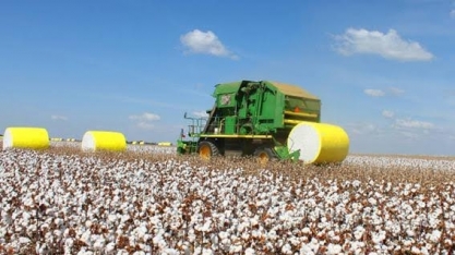 Volume maior sustenta exportações do agronegócio no primeiro trimestre