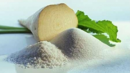 UE prevê produção de açúcar branco em 18,3 mi t em 2019/20