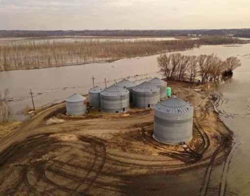 Plantio de milho avança nos EUA, o que é bom para o sojicultor brasileiro