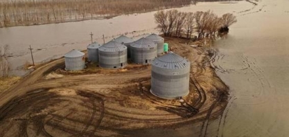 Plantio de milho avança nos EUA, o que é bom para o sojicultor brasileiro