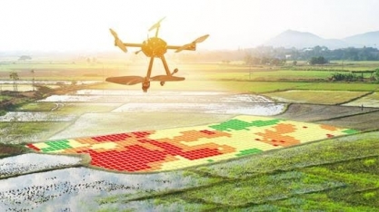 Agronegócio passa por virada digital e pede gestão para alavancar