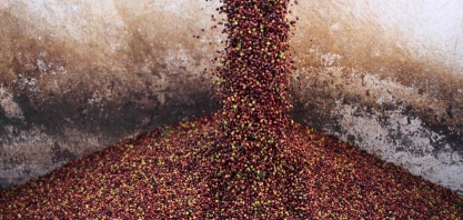 Exportadora de café Terra Forte entra com pedido de recuperação judicial 