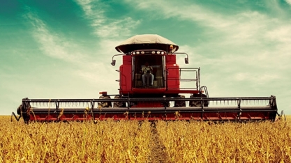 Brasil deve ultrapassar EUA como maior produtor de soja do mundo