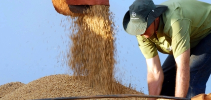 Importação chinesa de soja do Brasil cai a 72,8% do total exportado 