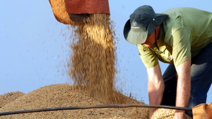Importação chinesa de soja do Brasil cai a 72,8% do total exportado 