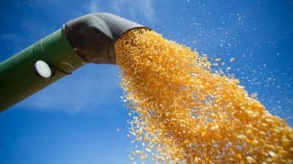 Brasil já é o segundo maior exportador mundial de milho