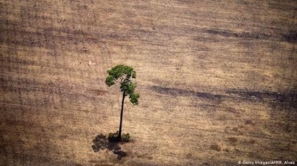 Pioneiro contra desmatamento, Fundo Amazônia tem futuro incerto