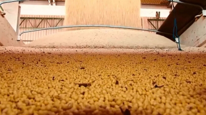 Brasil negocia milhões de toneladas de soja com demanda chinesa e dólar