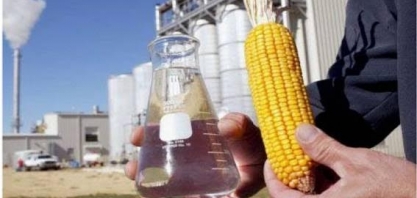 Guerra comercial afetou fortemente indústria de etanol dos EUA